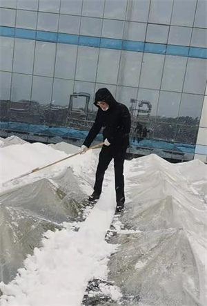 志愿清雪2.png