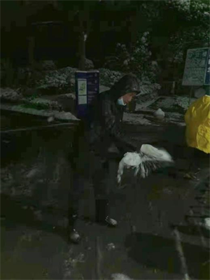志愿清雪4.png