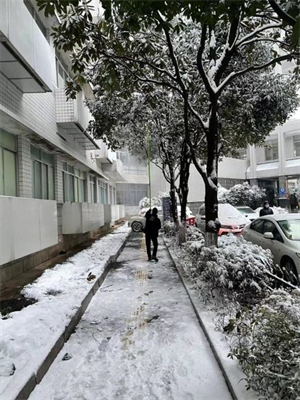 志愿清雪3.png