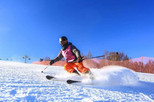 滑雪運動損傷2_副本.png