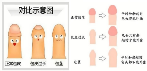 200_副本.png