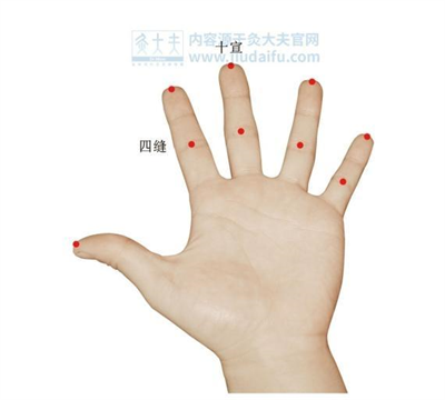 中醫退熱1.png