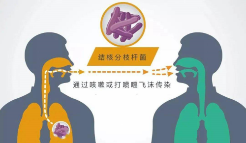 結核通過飛沫傳播_副本.png